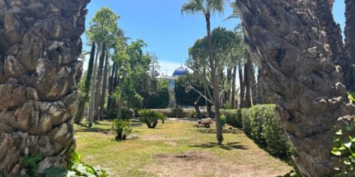 Hort-del-Xocolater-Palmeral-de-Elche-600x450