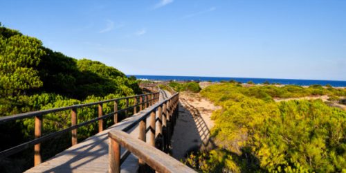 Playa-de-El-Carabassi-Elche-c-Visitelche-13-600x338